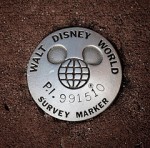 Disney World Survey Marker